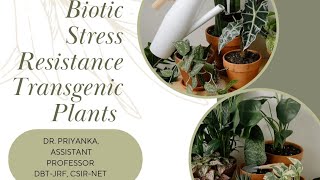 Transgenic Plants Resistance to Abiotic Stress [upl. by Fogel736]