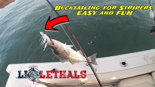 Bucktail fishing for striped bass  EASY and FUN [upl. by Letsyrc]