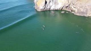 Surfers at Yaquina headAgate Beach Newport Oregon [upl. by Omik]