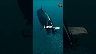 How Russian Kursk Submarine Disaster Happened [upl. by Noach]