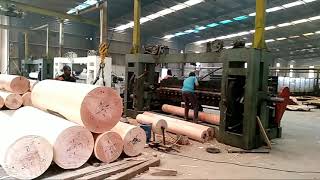 Okoume wood face veneer rotary Peeling veneer production [upl. by Allmon]