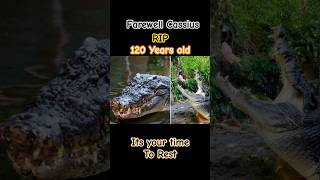 FAREWELL CASSIUS Worlds largest CROCODILE in captivity has died He was said to be 120 years old [upl. by Siwel789]