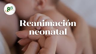 Actualización en reanimación neonatal [upl. by Hendry125]