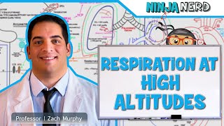 Respiratory  Respiration at High Altitudes [upl. by Oilut339]