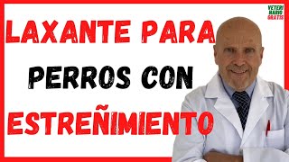 🔴 LAXANTES Naturales para PERROS con ESTREÑIMIENTO Severo 🔴 Mi perro no hace popo caca que le doy [upl. by Nerag]