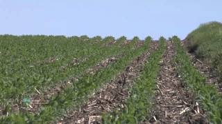 Soybean Planting 734 Air Date 42912 [upl. by Dennison]