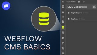 Webflow CMS Tutorial for Beginners [upl. by Mylo29]