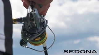 SHIMANO SEDONA FI [upl. by Rori]