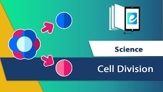 Cell Division Animated science video  elearn K12 [upl. by Dollie]