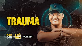 TRAUMA  Tarcísio do Acordeon CD Sai do Mêi [upl. by Webster]