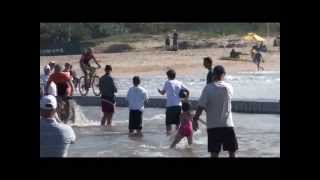 Sani2c 2013 best bridge crashes [upl. by Umeh]