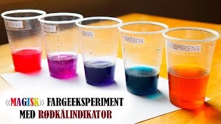 Magisk fargeeksperiment med rødkålindikator [upl. by Shiroma]