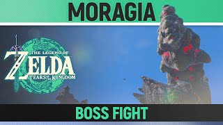 Zelda Tears of the Kingdom  Moragia Boss Fight [upl. by Cilka377]