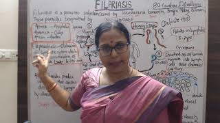 What is Filaria it’s cause and pathophysiology filaria whatisfilaria [upl. by Lenneuq]