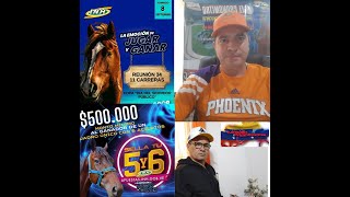 HIPISMO PROFESIONAL DOMINGO 08092024 [upl. by Treve]