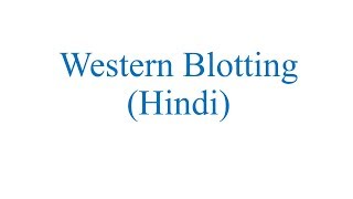 Western Blotting Hindi [upl. by Jauch]