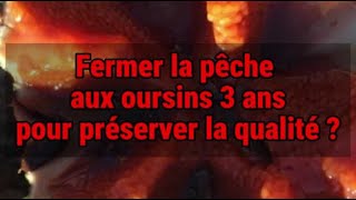 Ajaccio Fermer la pêche aux oursins trois ans pour quotpréserver la qualitéquot [upl. by Jemimah505]