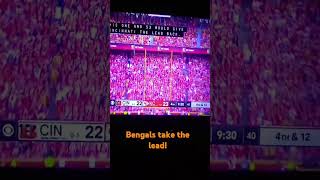 Bengals vs chiefs [upl. by Ntsud]