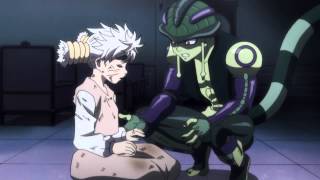 AMV Hunter x Hunter  King Again [upl. by Dhiren806]