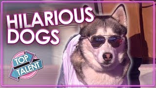 FUNNIEST DOG AUDITIONS amp MOMENTS EVER on Britains Got Talent  Top Talent [upl. by Leon]