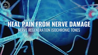 Chronic Nerve Pain Relief  Nerve Regeneration Isochronic Tones  Heal Pain from Nerve Damage528Hz [upl. by Ellwood994]