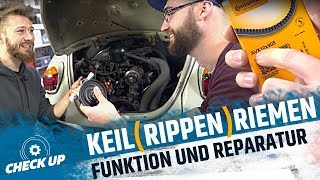 KEILRIPPENRIEMEN  KEILRIEMEN  STRUMPFHOSE  Funktion und Alternativen  CHECK UP  MOVE IT [upl. by Yerrot]