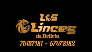 LINCES DE BOLIVIA EN VIVO 2023  MIX CLÁSICOS [upl. by Stets]