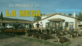 quotMONTERÍA EN LA MECA CON MONTERÍAS RIQUELMEquot en Abenójar  Ciudad Real  el 29 de Octubre del 2022 [upl. by Alexia]