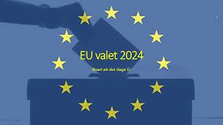 EU valet 2024  De viktigaste frågorna och vad de olika svenska partierna tycker amp tänker [upl. by Ilera]