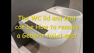 How to remove a Geberit toilet seat [upl. by Alyse327]