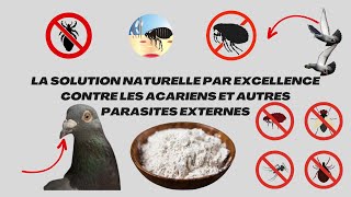 La solution naturelle par excellence contre les acariens et autres parasites externes [upl. by Sass]