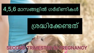 SECOND TRIMESTER IN PREGNANCY MALAYALAM ഗർഭിണികൾ ശ്രദ്ധേക്കേണ്ടത് എന്തൊക്കെ [upl. by Naid57]