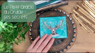 Review Video  Le Petit Oracle du Druide ses secrets  les celtes et les druides [upl. by Dinnie]