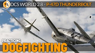 DCS Dogfight WW2  P47 Thunderbolt practice [upl. by Pump]