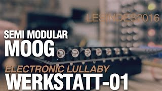 MOOG WERKSTATT 01  ELECTRONIC LULLABY [upl. by Groos]