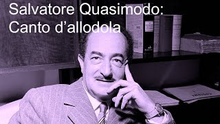 Salvatore Quasimodo Canto dallodola [upl. by Adla]