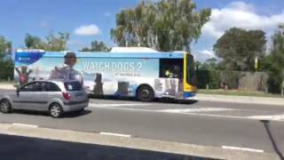 Buses at Carindale Shopping Centre Interchange [upl. by Saval]