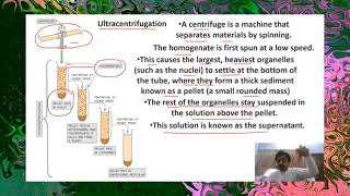 CHAPTER  3  Cell structure and functions  Part 1  Cell Fractionation  Sindh Text Board [upl. by Eiliak818]