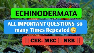 Phylum Echinodermata  Old questions series  CEEMEC  NEB  CLASS 1112 BIOLOGY [upl. by Ahsienod]