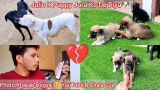 Jora N Julie K Sabhi Puppies Adopt Karliya😍 I Phone Kharab Hogya😢 [upl. by Adnana684]