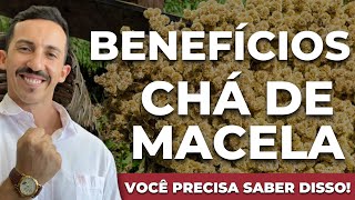 Benefícios do Chá de Macela  Nutri Rodrigo Moreira [upl. by Ashely]