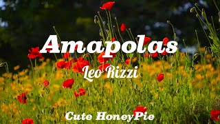 Amapolas  Leo Rizzi Letra [upl. by Nalahs986]