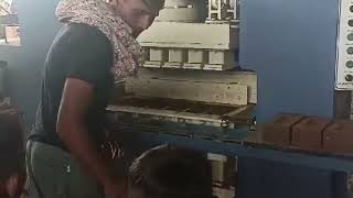 NEPTUNE FULLY AUTOMATIC 6 CAVITY MACHINE MAKING HIGH STRENGTH CLAY BRCIKS AT HARYANA 9687695930 [upl. by Icats]