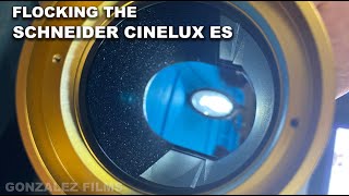 Flocking The Schneider Cinelux ES Anamorphic Lens 2022 4k [upl. by Asserat]