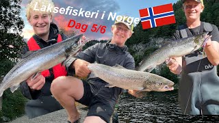 Laksefiskeri i Norge dag 56 [upl. by Eirrej]