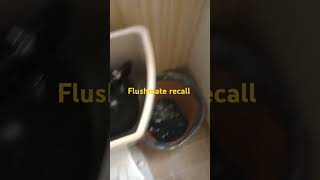 flushmate recall 07302024 [upl. by Enelcaj]