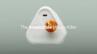 Introducing the Goodnature Mouse Trap  A Humane SelfResetting Solution [upl. by Annhoj]