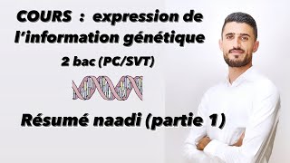 Cours Résumé naaadi de l’Expression de l’information génétique partie 1 naaaadi 🔥🔥🧬 [upl. by Nylirem]