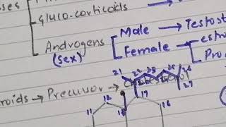 Synthesis of steroid hormone part 1  steroid hormone synthesis in UrduHindi  2020 [upl. by Amsden885]