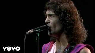 Billy Squier  Everybody Wants You Live [upl. by Hanah635]